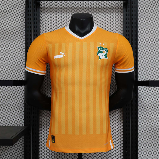 2022 Player Version Cte d'Ivoire Home Football Shirt 1:1 Thai Quality