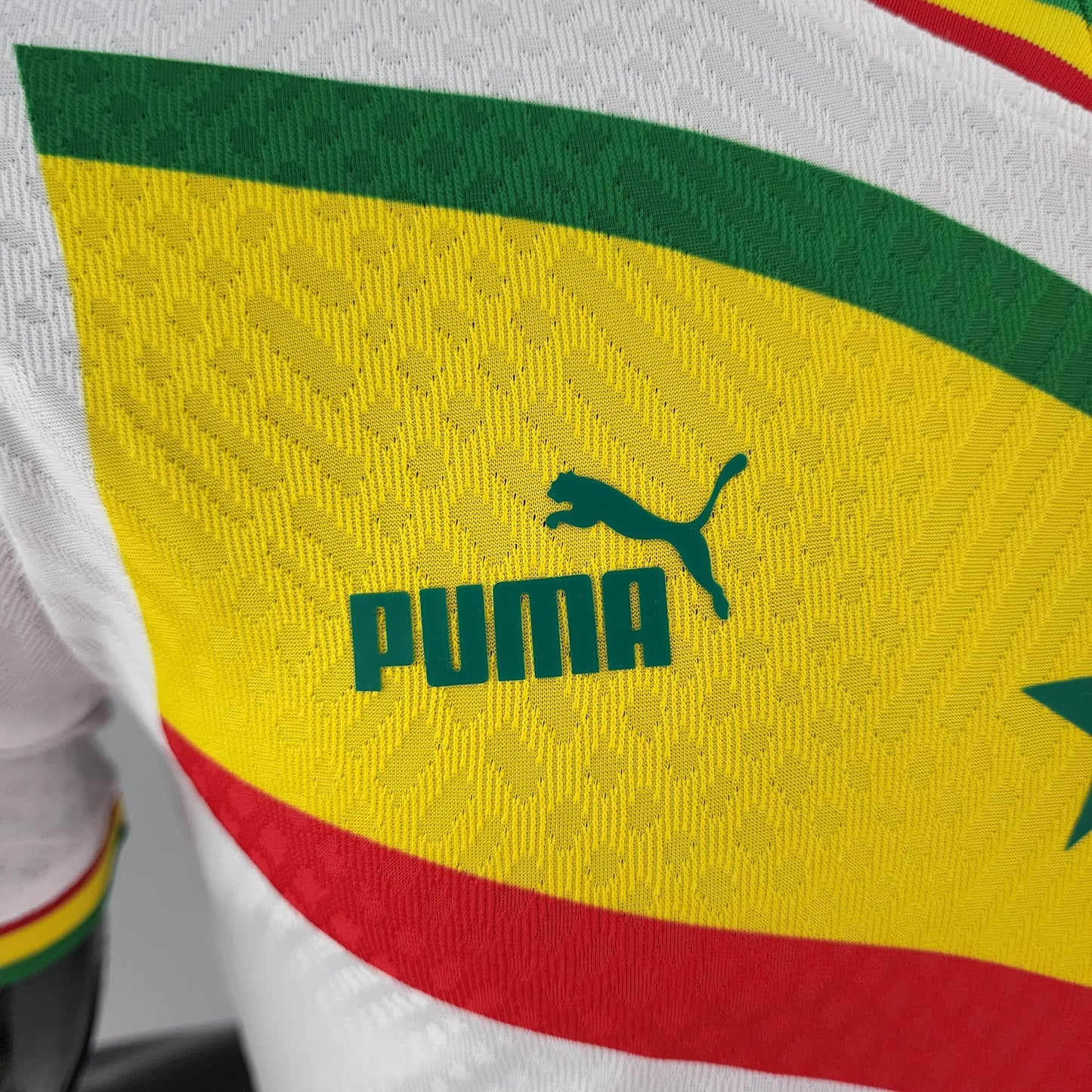 2022 FIFA World Cup Senegal National Team Home Player Version Shirt