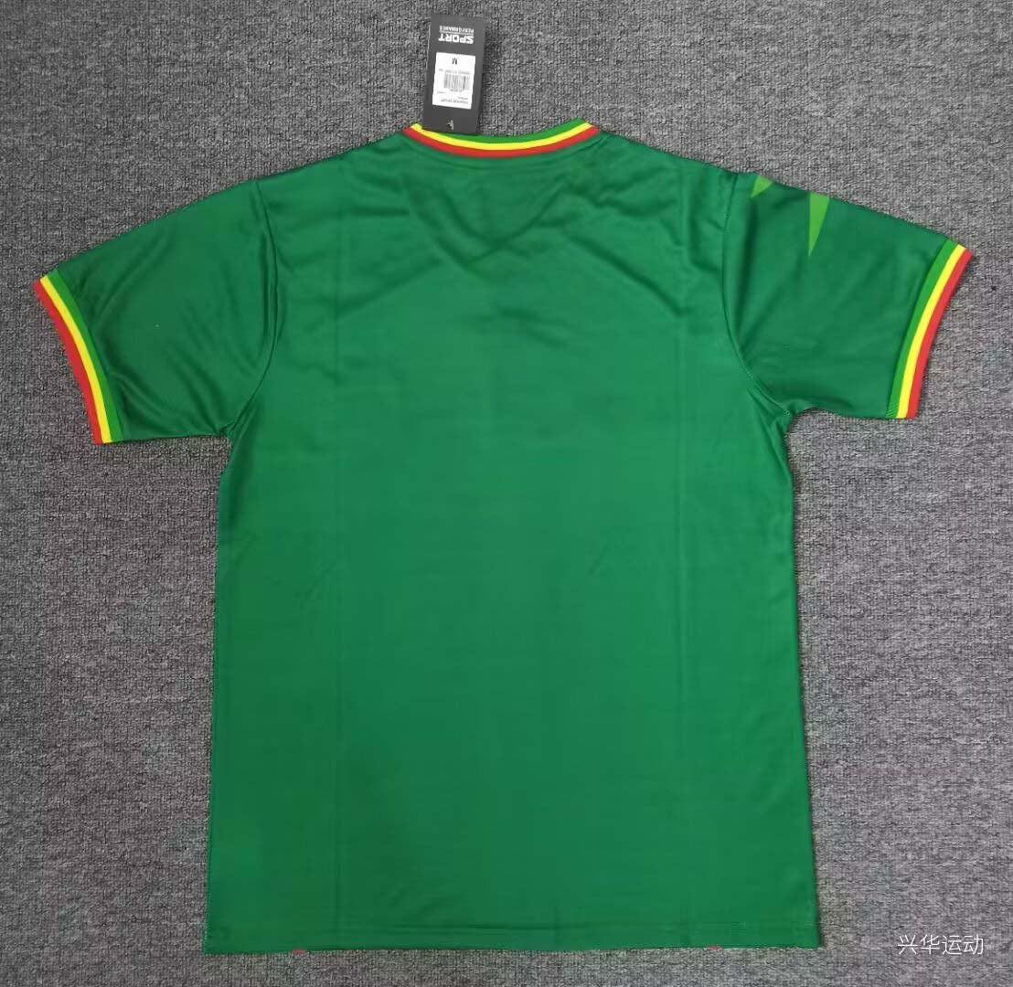 2024 Mali Africa Cup Away Football Shirt 1:1 Thai Quality