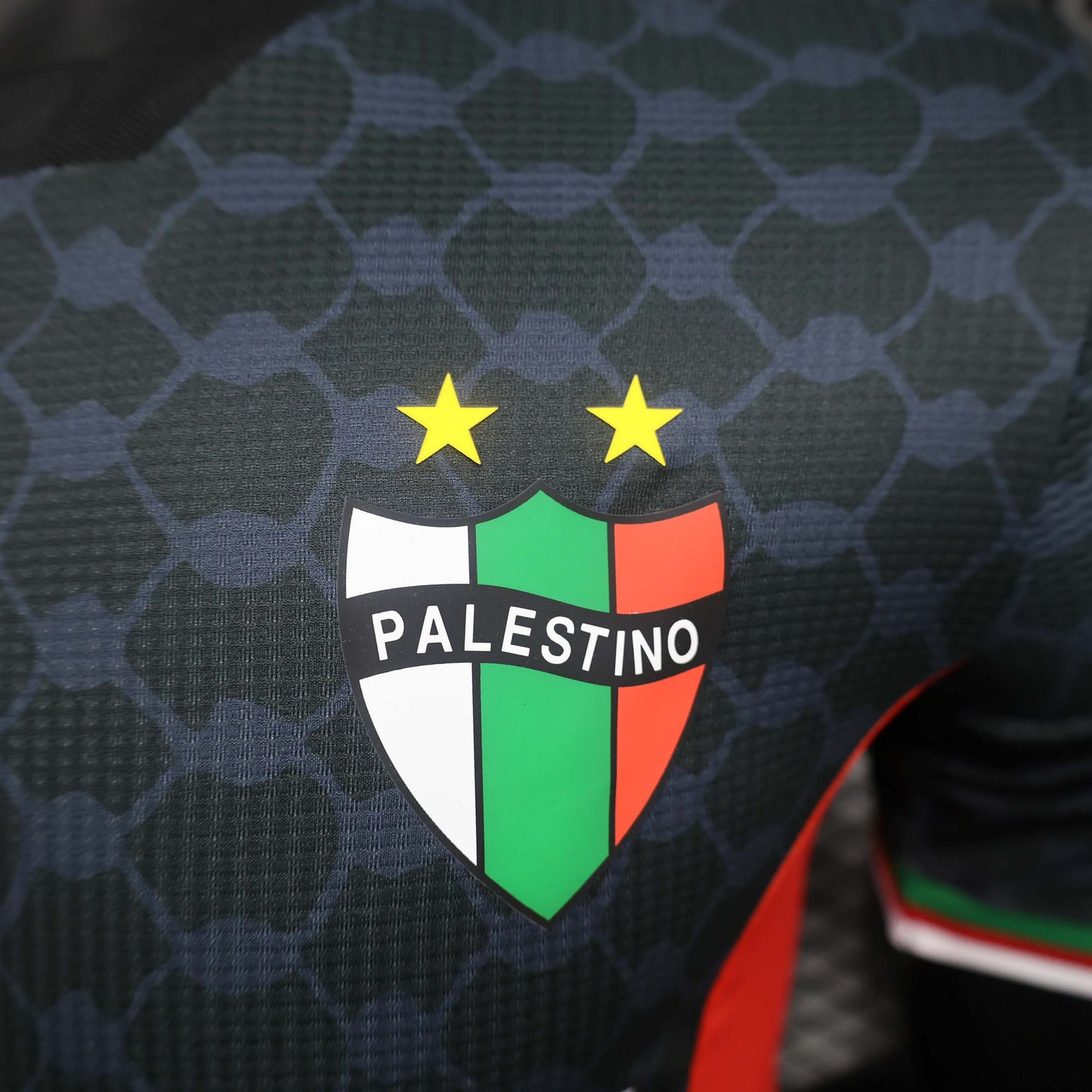 2024/2025 Player Version Club Deportivo Palestino Away Football Shirt 1:1 Thai Quality