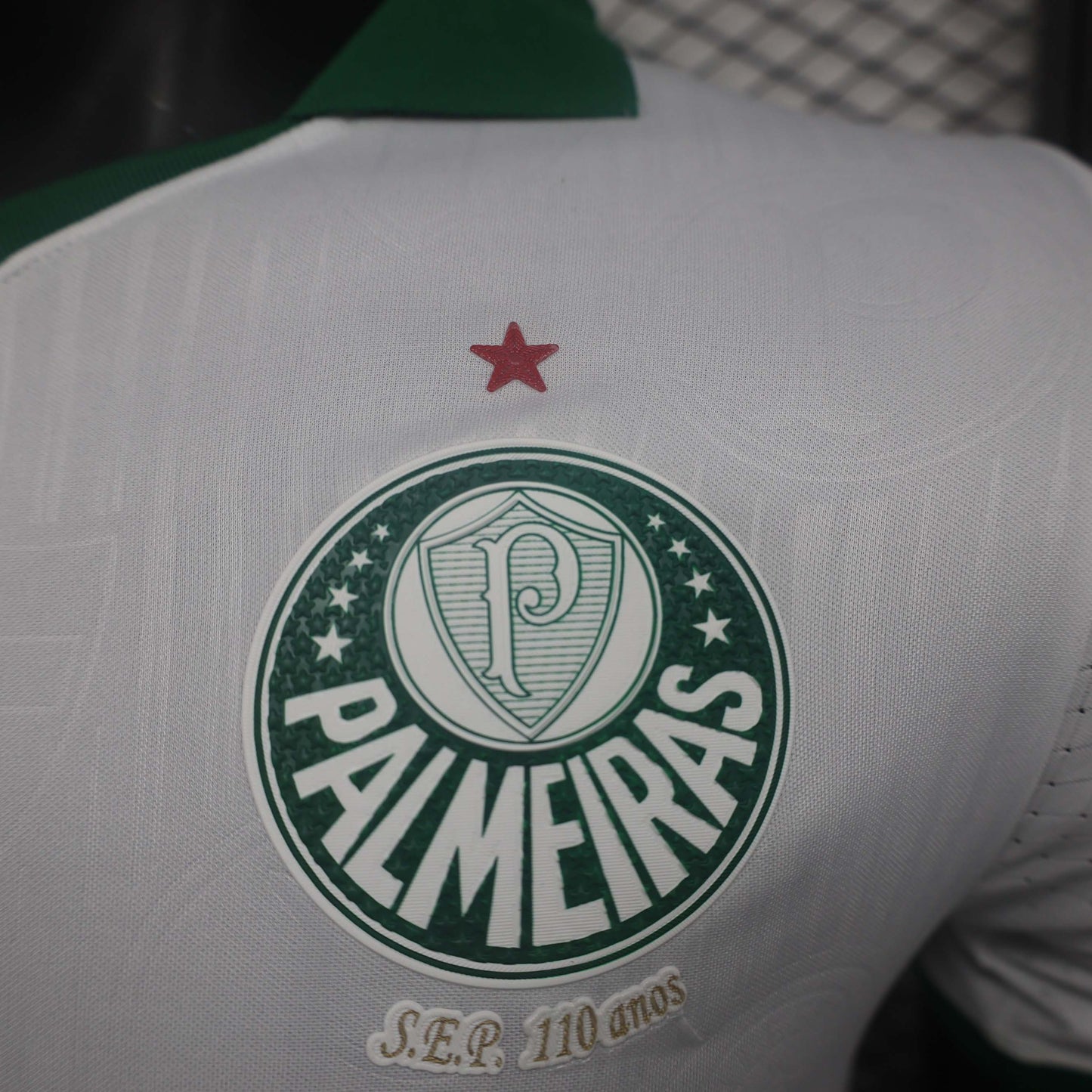 2024/2025 Player Version Palmeiras Away Jersey 1:1 Thai Quality