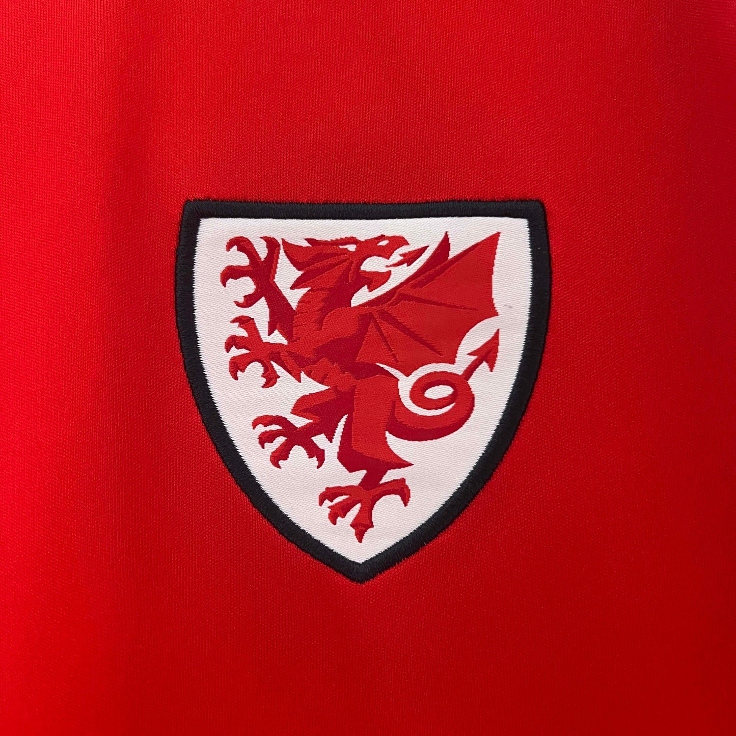 2024 Wales Home Football Shirt 1:1 Thai Quality