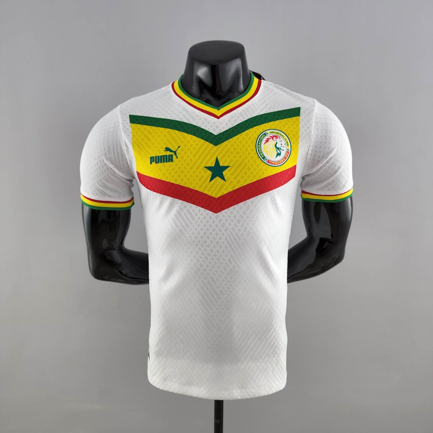 2022 FIFA World Cup Senegal National Team Home Player Version Shirt