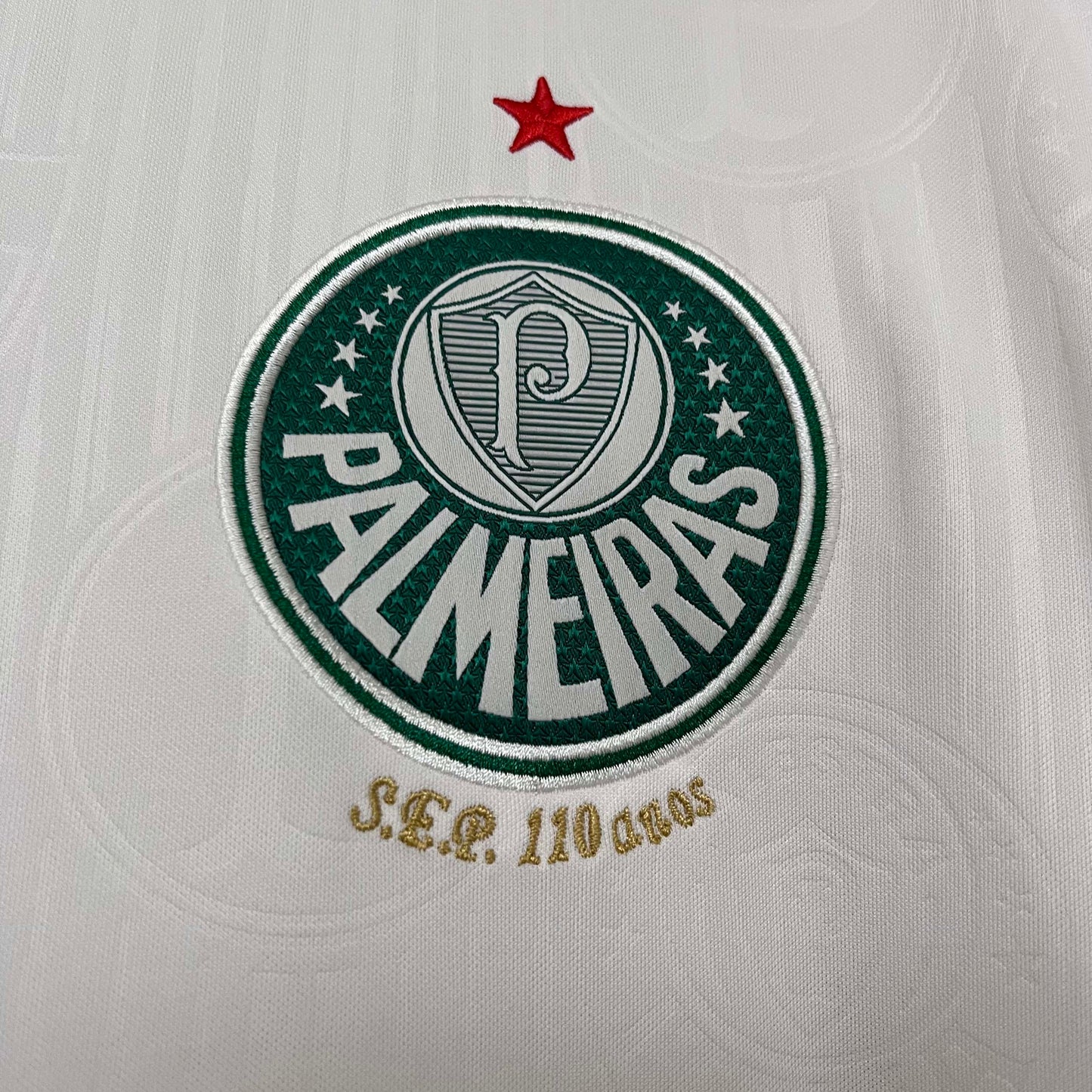 2024/2025 Palmeiras Away Jersey 1:1 Thai Quality