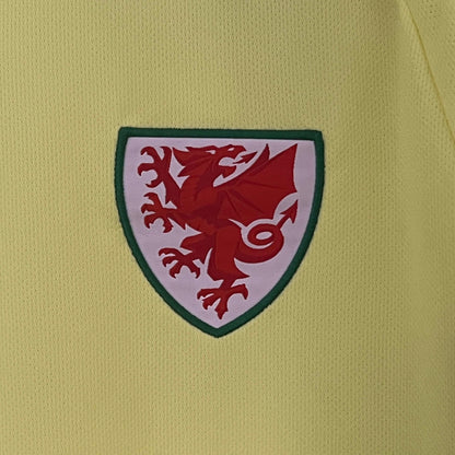 2024 Wales Away Football Shirt 1:1 Thai Quality