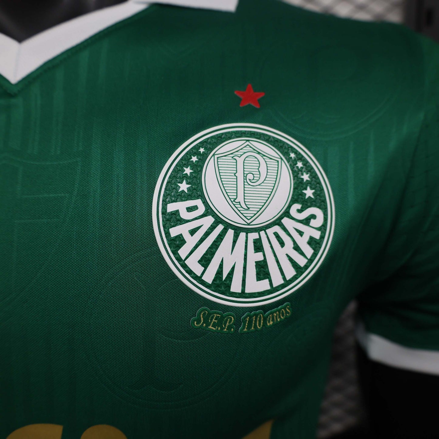 2024/2025 Player Version Palmeiras Home Jersey 1:1 Thai Quality