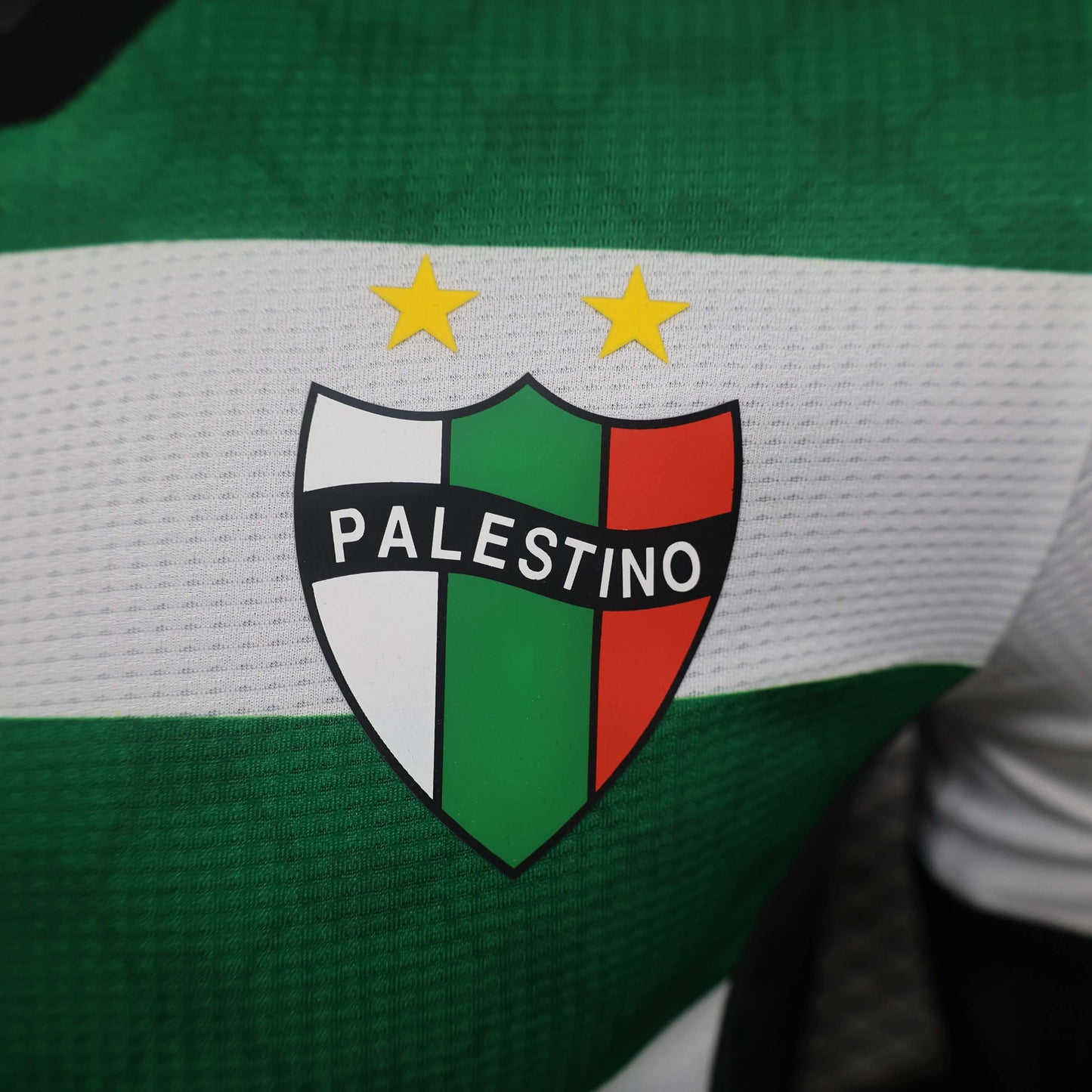 2024/2025 Player Version Club Deportivo Palestino Third Away Football Shirt 1:1 Thai Quality