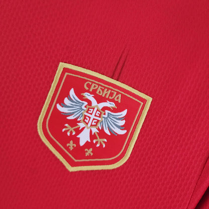 2022 FIFA World Cup Serbia Home Soccer Shirt